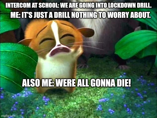 Madagascar Mort Crying | INTERCOM AT SCHOOL: WE ARE GOING INTO LOCKDOWN DRILL. ME: IT'S JUST A DRILL NOTHING TO WORRY ABOUT. ALSO ME: WERE ALL GONNA DIE! | image tagged in madagascar mort crying | made w/ Imgflip meme maker