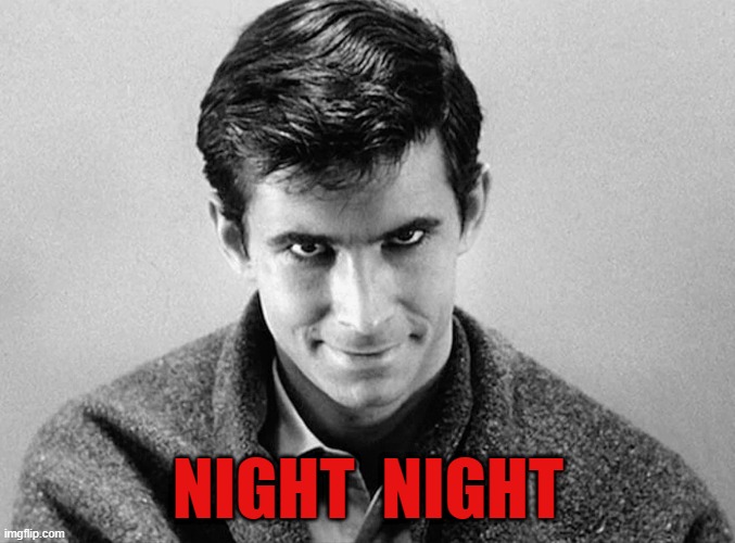 night night | NIGHT  NIGHT | image tagged in norman bates | made w/ Imgflip meme maker