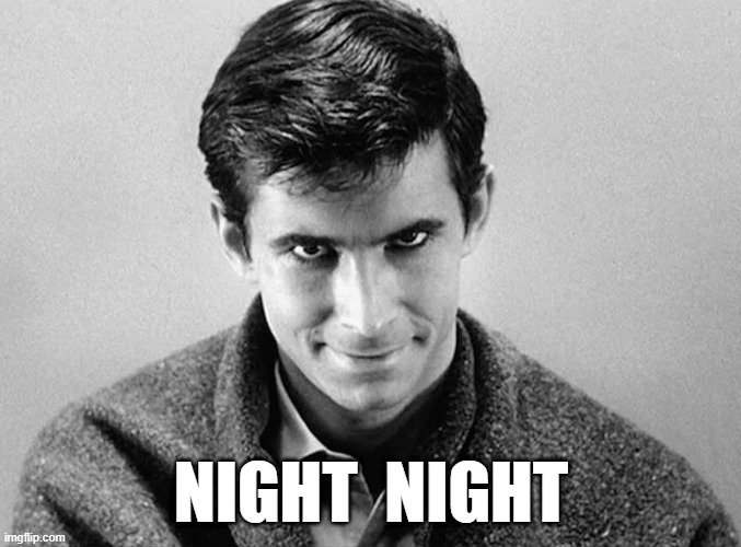 night night | image tagged in norman bates | made w/ Imgflip meme maker