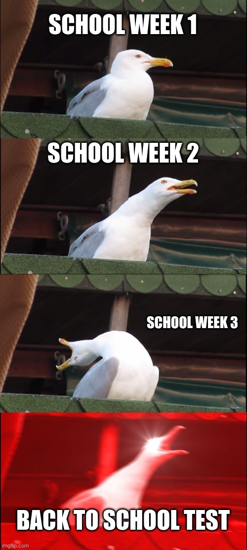 Inhaling Seagull Meme | SCHOOL WEEK 1; SCHOOL WEEK 2; SCHOOL WEEK 3; BACK TO SCHOOL TEST | image tagged in memes,inhaling seagull,school sucks,school | made w/ Imgflip meme maker