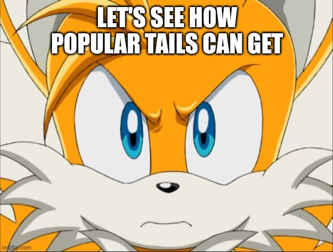 LET'S SEE HOW POPULAR TAILS CAN GET | image tagged in tails | made w/ Imgflip meme maker