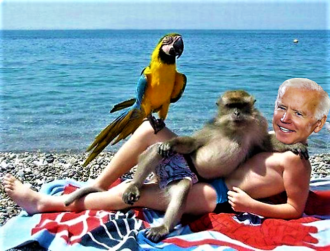 Biden at the beach with friends Blank Meme Template