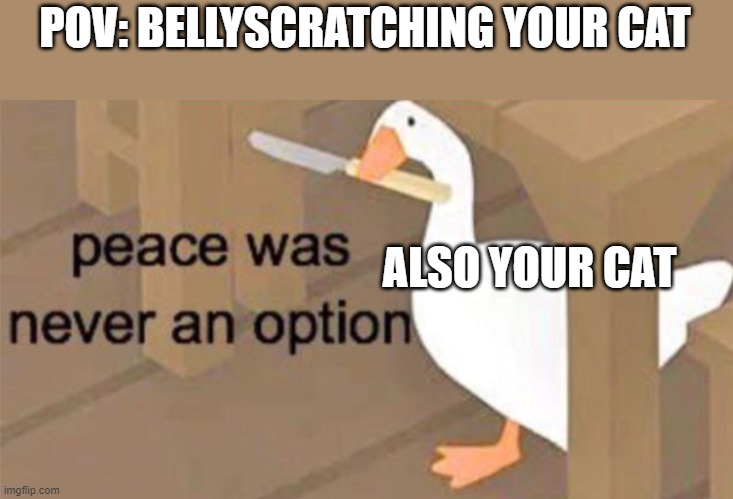 he was having fun and go go attac | POV: BELLYSCRATCHING YOUR CAT; ALSO YOUR CAT | image tagged in untitled goose peace was never an option | made w/ Imgflip meme maker