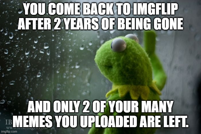 I wanna cry |  YOU COME BACK TO IMGFLIP AFTER 2 YEARS OF BEING GONE; AND ONLY 2 OF YOUR MANY MEMES YOU UPLOADED ARE LEFT. | image tagged in kermit window | made w/ Imgflip meme maker