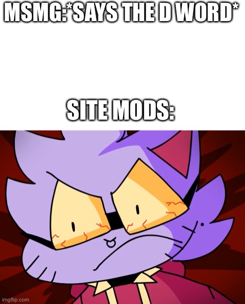 Angy cat | MSMG:*SAYS THE D WORD*; SITE MODS: | image tagged in angy cat | made w/ Imgflip meme maker