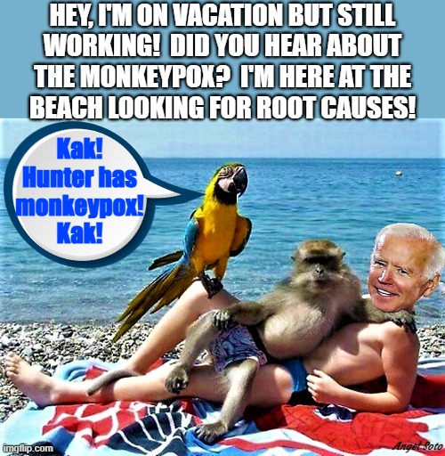 Biden at the beach with friends | HEY, I'M ON VACATION BUT STILL
WORKING!  DID YOU HEAR ABOUT
THE MONKEYPOX?  I'M HERE AT THE
BEACH LOOKING FOR ROOT CAUSES! Kak!
Hunter has
monkeypox!
Kak! Angel Soto | image tagged in joe biden,hunter,monkeypox,working,vacation,beach | made w/ Imgflip meme maker