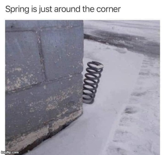 image tagged in puns | made w/ Imgflip meme maker