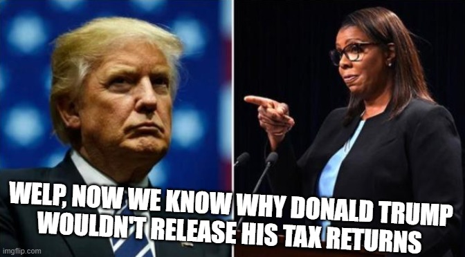 WTG TISH!! | WELP, NOW WE KNOW WHY DONALD TRUMP
WOULDN'T RELEASE HIS TAX RETURNS | image tagged in trump,tax,fraud,tax cuts for the rich,lock him up,kids too | made w/ Imgflip meme maker
