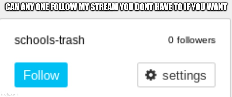 CAN ANY ONE FOLLOW MY STREAM YOU DONT HAVE TO IF YOU WANT | made w/ Imgflip meme maker