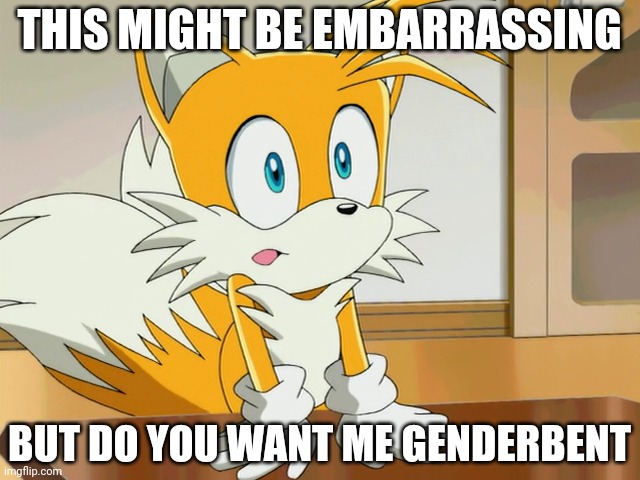 Try tailsko for a week, then revert back to tails? | THIS MIGHT BE EMBARRASSING; BUT DO YOU WANT ME GENDERBENT | image tagged in tails | made w/ Imgflip meme maker