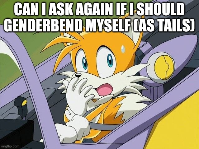 CAN I ASK AGAIN IF I SHOULD GENDERBEND MYSELF (AS TAILS) | image tagged in tails | made w/ Imgflip meme maker