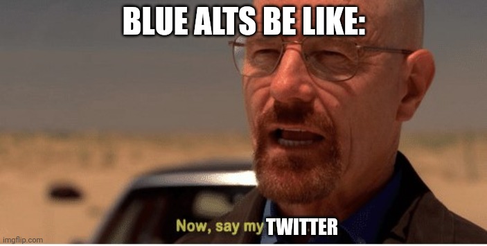 Now, say my name | BLUE ALTS BE LIKE:; TWITTER | image tagged in now say my name | made w/ Imgflip meme maker