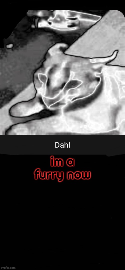 h-haaiiii~! | im a furry now | image tagged in dahl temp | made w/ Imgflip meme maker