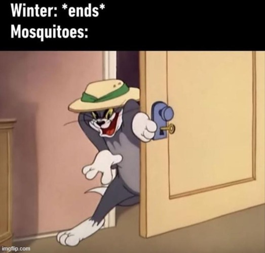 image tagged in repost | made w/ Imgflip meme maker
