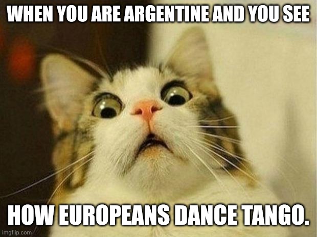 Europeans and tango | WHEN YOU ARE ARGENTINE AND YOU SEE; HOW EUROPEANS DANCE TANGO. | image tagged in memes,scared cat | made w/ Imgflip meme maker
