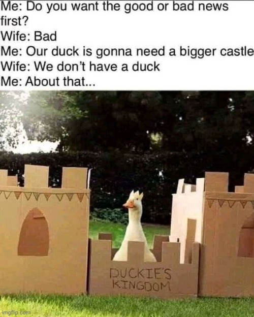 image tagged in ducks,castle | made w/ Imgflip meme maker