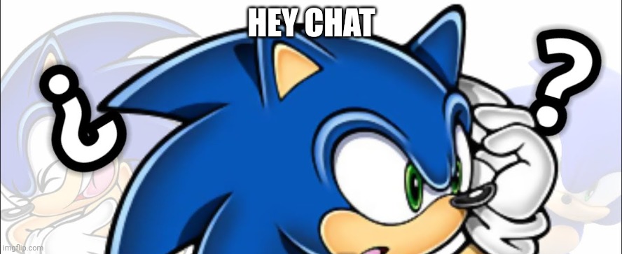 What are some things i should know around here | HEY CHAT | image tagged in questioning sonic | made w/ Imgflip meme maker