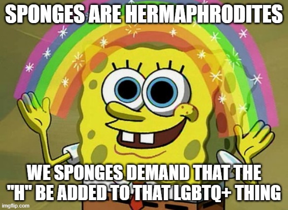 Imagination Spongebob Meme | SPONGES ARE HERMAPHRODITES; WE SPONGES DEMAND THAT THE "H" BE ADDED TO THAT LGBTQ+ THING | image tagged in memes,imagination spongebob | made w/ Imgflip meme maker