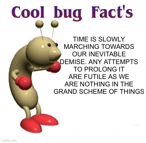 Like him or not he spittin’ fax | TIME IS SLOWLY MARCHING TOWARDS OUR INEVITABLE DEMISE. ANY ATTEMPTS TO PROLONG IT ARE FUTILE AS WE ARE NOTHING IN THE GRAND SCHEME OF THINGS | image tagged in cool bug facts | made w/ Imgflip meme maker