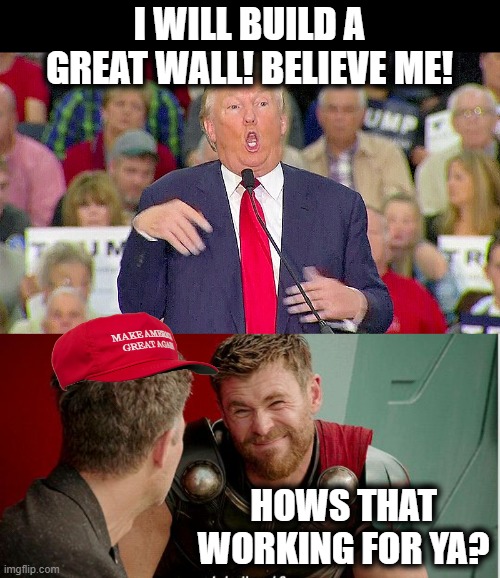 Raise your hand if he scammed you out of money. | I WILL BUILD A GREAT WALL! BELIEVE ME! HOWS THAT WORKING FOR YA? | image tagged in trump mocks reporter,memes,politics,lock him up,traitor,maga | made w/ Imgflip meme maker