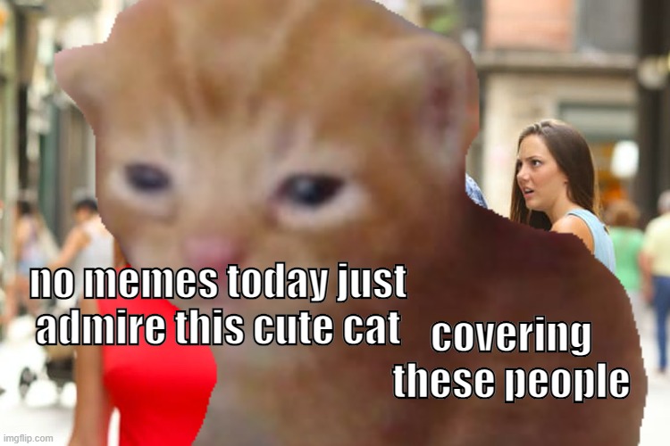 Cat | no memes today just admire this cute cat; covering these people | image tagged in free robux | made w/ Imgflip meme maker