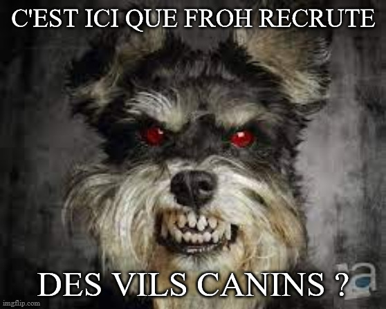 C'EST ICI QUE FROH RECRUTE; DES VILS CANINS ? | made w/ Imgflip meme maker