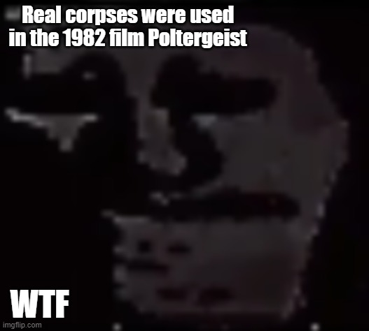 wtf tho | Real corpses were used in the 1982 film Poltergeist; WTF | image tagged in trollge | made w/ Imgflip meme maker