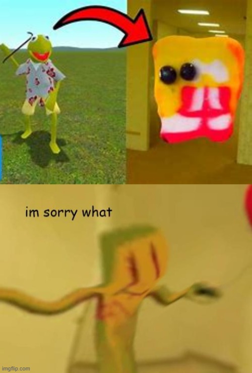 Im sorry what | image tagged in im sorry what backrooms edition,partyboi | made w/ Imgflip meme maker