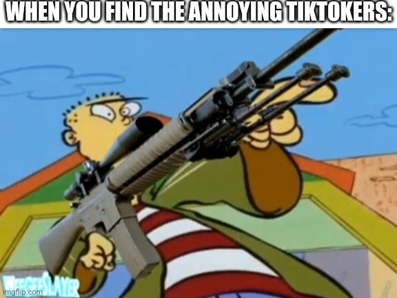  WHEN YOU FIND THE ANNOYING TIKTOKERS: | image tagged in white background | made w/ Imgflip meme maker