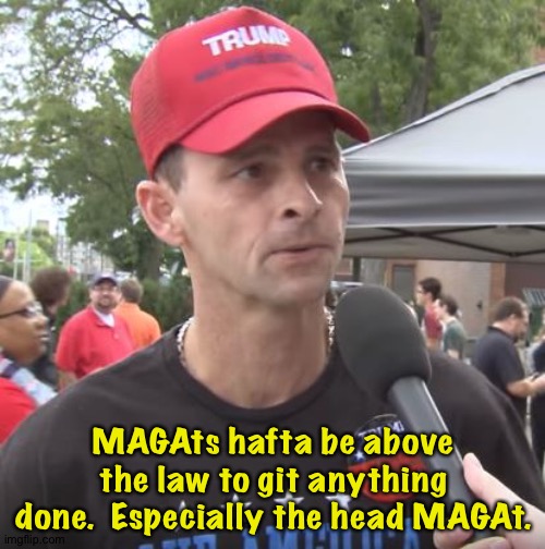 Trump supporter | MAGAts hafta be above the law to git anything done.  Especially the head MAGAt. | image tagged in trump supporter | made w/ Imgflip meme maker