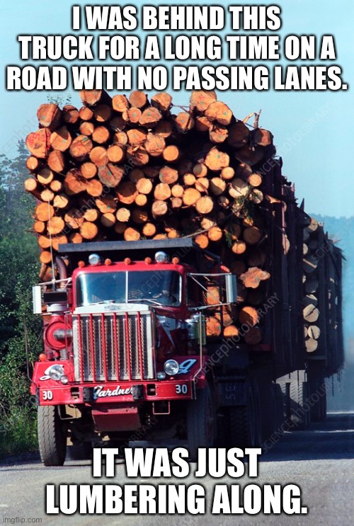 Logging truck | I WAS BEHIND THIS TRUCK FOR A LONG TIME ON A ROAD WITH NO PASSING LANES. IT WAS JUST LUMBERING ALONG. | image tagged in bad pun | made w/ Imgflip meme maker