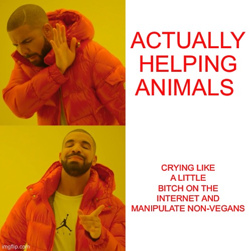 Drake Hotline Bling Meme | ACTUALLY HELPING ANIMALS; CRYING LIKE A LITTLE BITCH ON THE INTERNET AND MANIPULATE NON-VEGANS | image tagged in memes,drake hotline bling | made w/ Imgflip meme maker