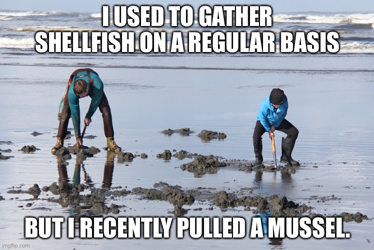 Shellfish | I USED TO GATHER SHELLFISH ON A REGULAR BASIS; BUT I RECENTLY PULLED A MUSSEL. | image tagged in bad pun | made w/ Imgflip meme maker