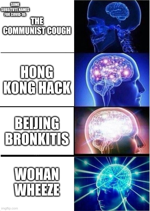 Substitute Names for Covid! | SOME SUBSITUTE NAMES FOR COVID-19:; THE COMMUNIST COUGH; HONG KONG HACK; BEIJING BRONKITIS; WOHAN WHEEZE | image tagged in memes,expanding brain | made w/ Imgflip meme maker