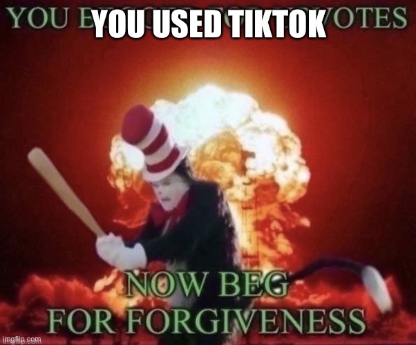 My brain in the bathroom. | YOU USED TIKTOK | image tagged in beg for forgiveness | made w/ Imgflip meme maker