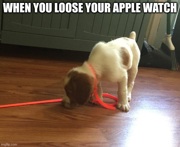 WHEN YOU LOOSE YOUR APPLE WATCH | made w/ Imgflip meme maker