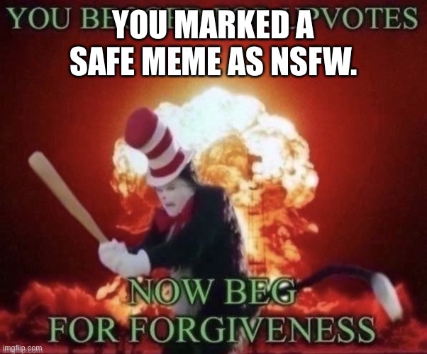 Beg for forgiveness | YOU MARKED A SAFE MEME AS NSFW. | image tagged in beg for forgiveness | made w/ Imgflip meme maker