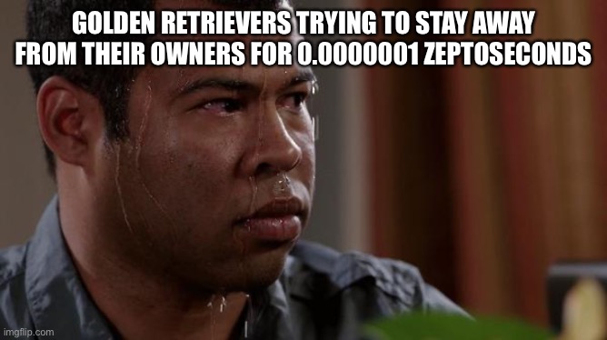 sweating bullets | GOLDEN RETRIEVERS TRYING TO STAY AWAY FROM THEIR OWNERS FOR 0.0000001 ZEPTOSECONDS | image tagged in sweating bullets | made w/ Imgflip meme maker