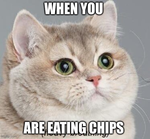 lol | WHEN YOU; ARE EATING CHIPS | image tagged in memes,heavy breathing cat,anti furry | made w/ Imgflip meme maker