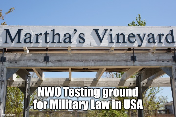 Suddenly everyone was begging for Military Law | NWO Testing ground for Military Law in USA | image tagged in martha's vineyard sign | made w/ Imgflip meme maker