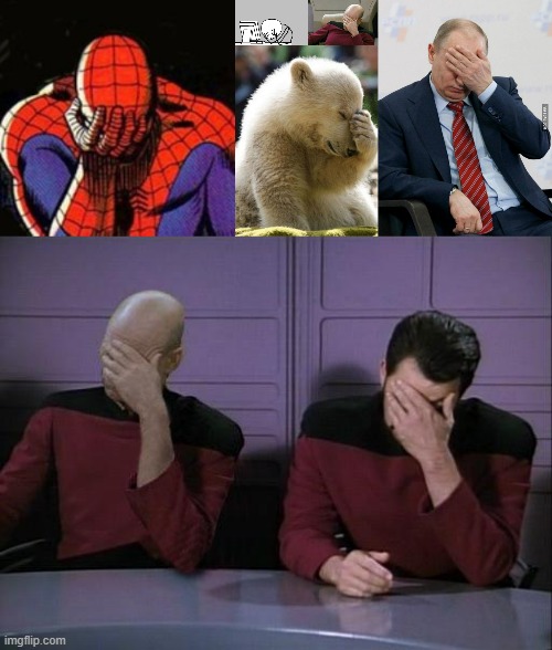 image tagged in memes,sad spiderman,computer guy facepalm,captain picard facepalm,facepalm bear,putin facepalm | made w/ Imgflip meme maker