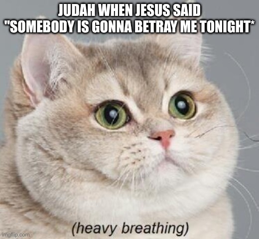 Heavy Breathing Cat Meme | JUDAH WHEN JESUS SAID "SOMEBODY IS GONNA BETRAY ME TONIGHT* | image tagged in memes,heavy breathing cat | made w/ Imgflip meme maker