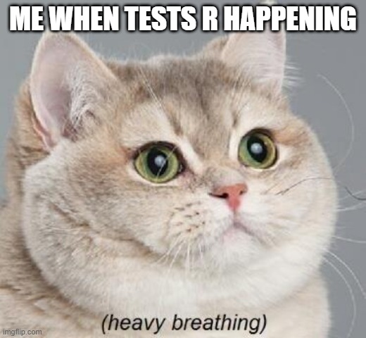 Heavy Breathing Cat Meme | ME WHEN TESTS R HAPPENING | image tagged in memes,heavy breathing cat | made w/ Imgflip meme maker