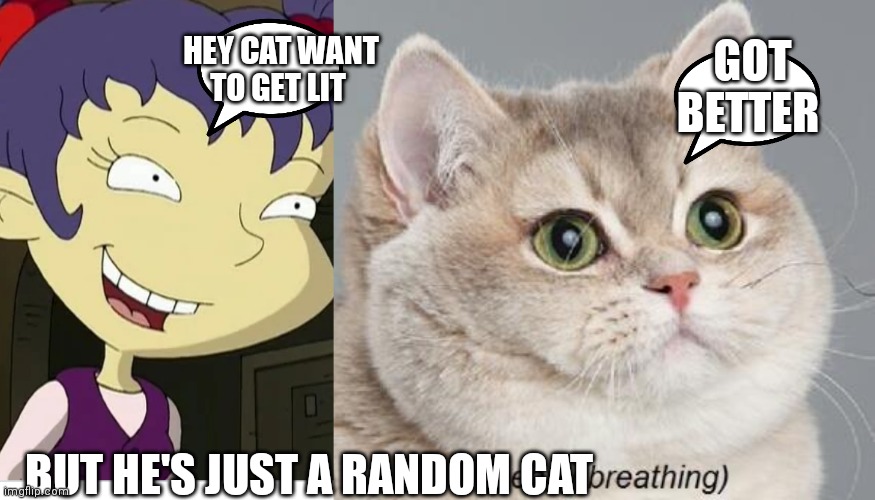Kimi finster and random cat | HEY CAT WANT TO GET LIT; GOT BETTER; BUT HE'S JUST A RANDOM CAT | image tagged in memes,heavy breathing cat,funny memes | made w/ Imgflip meme maker