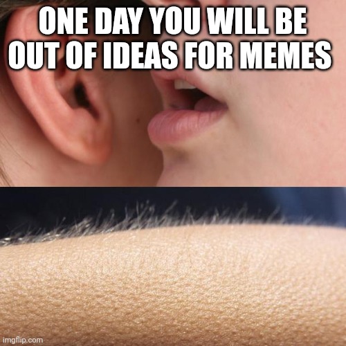 Dumb Meme #52 | ONE DAY YOU WILL BE OUT OF IDEAS FOR MEMES | image tagged in whisper and goosebumps | made w/ Imgflip meme maker