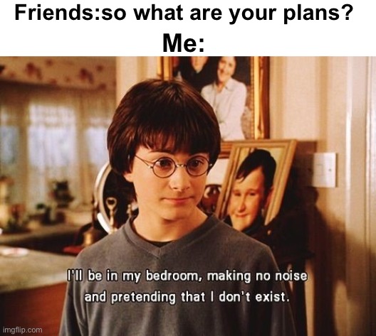 i'll be in my bedroom | Friends:so what are your plans? Me: | image tagged in i'll be in my bedroom,introvert,introverts | made w/ Imgflip meme maker