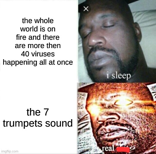 Sleeping Shaq Meme | the whole world is on fire and there are more then 40 viruses happening all at once; the 7 trumpets sound | image tagged in memes,sleeping shaq | made w/ Imgflip meme maker