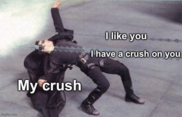 neo dodging a bullet matrix | I like you; I have a crush on you; My crush | image tagged in neo dodging a bullet matrix,crush | made w/ Imgflip meme maker