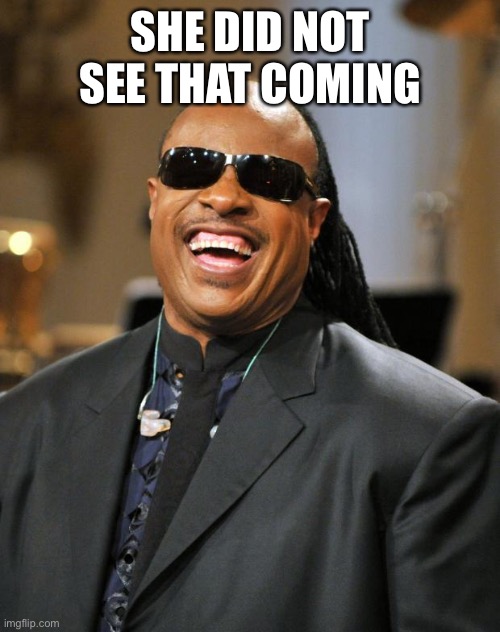 Stevie Wonder | SHE DID NOT SEE THAT COMING | image tagged in stevie wonder | made w/ Imgflip meme maker