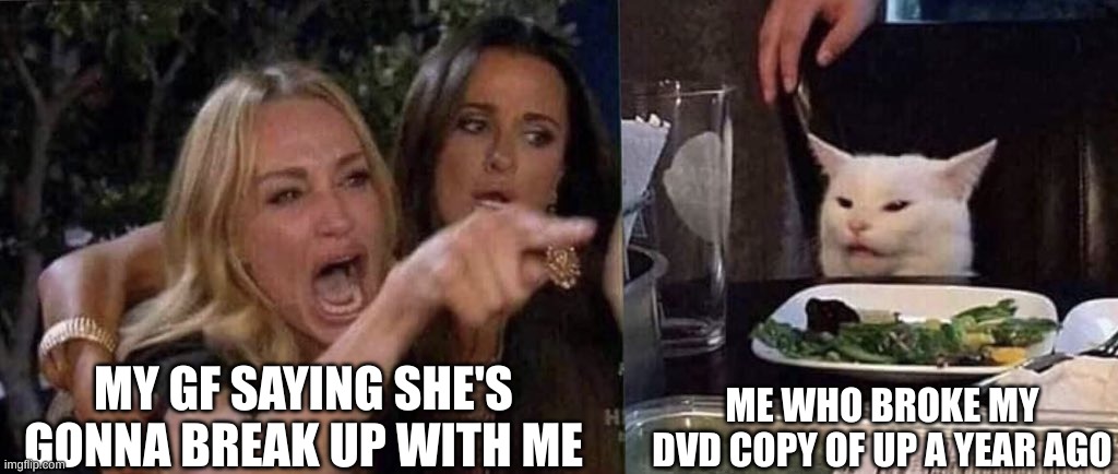 Haha Pixar joke | MY GF SAYING SHE'S GONNA BREAK UP WITH ME; ME WHO BROKE MY DVD COPY OF UP A YEAR AGO | image tagged in woman yelling at cat | made w/ Imgflip meme maker